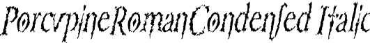 PorcupineRomanCondensed Italic font - porcupineromancondenseditalic.ttf