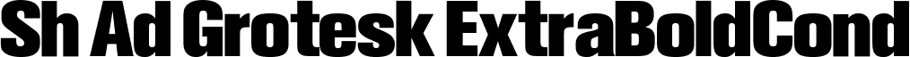 Sh Ad Grotesk ExtraBoldCond font - adgrot.ex.bd.con..ttf