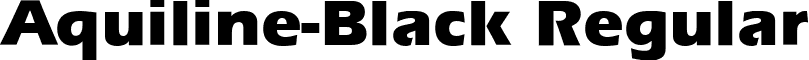 Aquiline-Black Regular font - aquiline-black.ttf