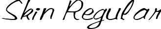 Skin Regular font - skinregularttnorm.ttf