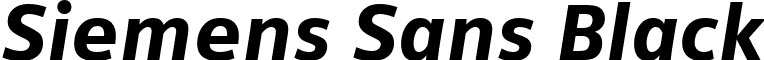 Siemens Sans Black font - siemenssansblackitalic.ttf