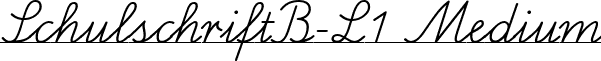 SchulschriftB-L1 Medium font - schulschriftb-l1.ttf