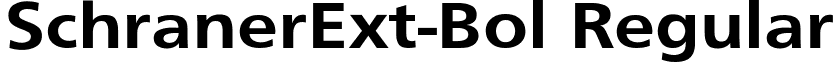 SchranerExt-Bol Regular font - schranerext-bol.ttf