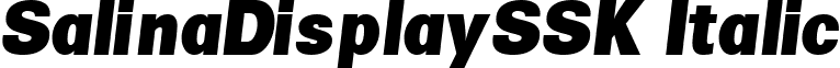 SalinaDisplaySSK Italic font - salinadisplaysskitalic.ttf