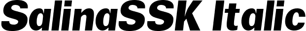 SalinaSSK Italic font - salinasskitalic.ttf