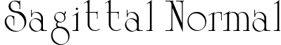 Sagittal Normal font - sagittal.ttf