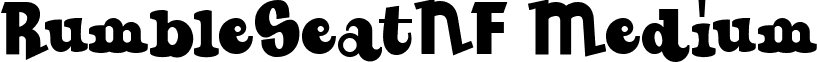 RumbleSeatNF Medium font - rumbleseatnfmedium.ttf