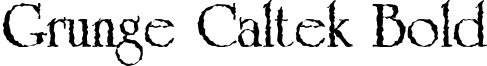 Grunge Caltek Bold font - grungecaltekbold.ttf