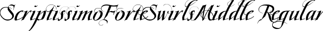 ScriptissimoForteSwirlsMiddle Regular font - scriptissimoforteswirlsmiddle.ttf