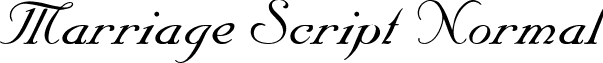 Marriage Script Normal font - calligraphic-inkmarriage-script-normal.ttf