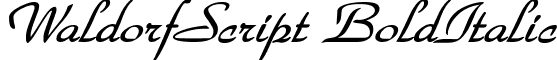 WaldorfScript BoldItalic font - WaldorfScript BoldItalic.ttf