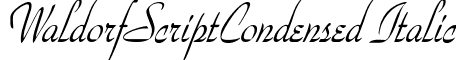 WaldorfScriptCondensed Italic font - waldorfscriptcondenseditalic.ttf