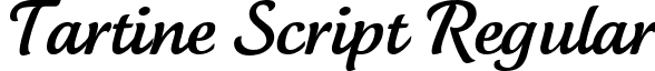 Tartine Script Regular font - tartinescriptregular.ttf