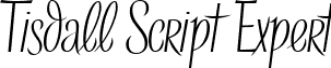Tisdall Script Expert font - tisdallscriptexpert.ttf