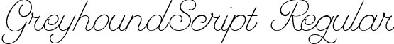 GreyhoundScript Regular font - greyhoundscript.ttf