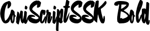 ConiScriptSSK Bold font - coniscriptsskbold.ttf