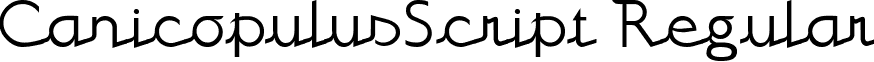 CanicopulusScript Regular font - canicopulusscript.ttf