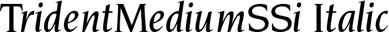 TridentMediumSSi Italic font - tridmsi_.ttf