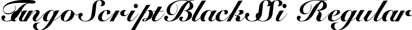 TangoScriptBlackSSi Regular font - tangsbls.ttf