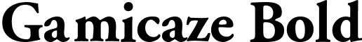 Gamicaze Bold font - gacb.ttf