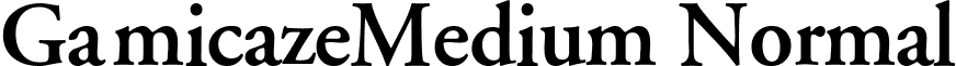 GamicazeMedium Normal font - gacd.ttf