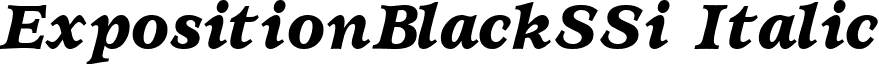 ExpositionBlackSSi Italic font - expsblsi.ttf