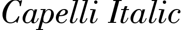 Capelli Italic font - caiswfte.ttf