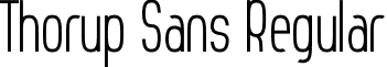 Thorup Sans Regular font - Thorup Sans.ttf