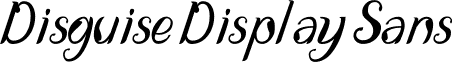 Disguise Display Sans font - Disguise Display- italic.ttf