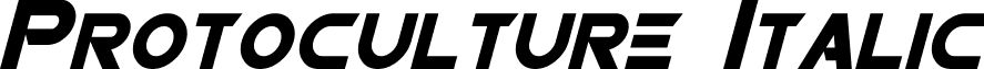 Protoculture Italic font - Protoculture Italic.ttf