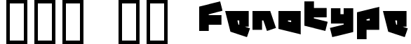 12. 19 Fenotype font - 12.1F___.TTF
