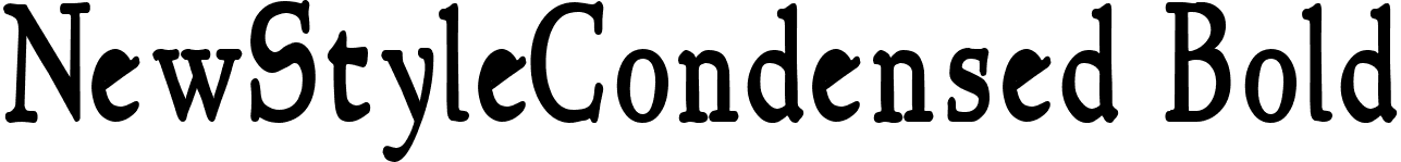 NewStyleCondensed Bold font - NewStyleCondensed-Bold.ttf