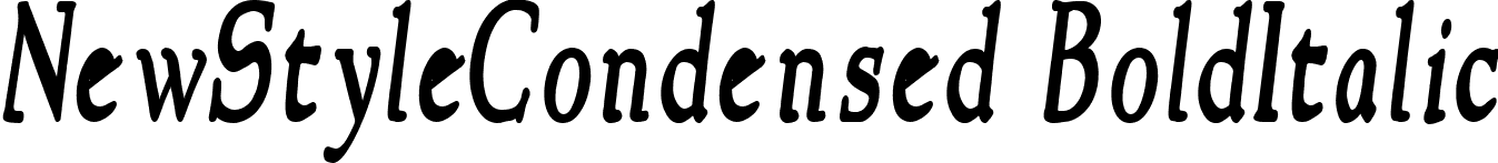 NewStyleCondensed BoldItalic font - NewStyleCondensed-Bold-Italic.ttf