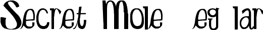 Secret Mole Regular font - Secret Mole.ttf