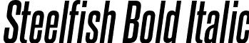 Steelfish Bold Italic font - steelfish bd it.otf