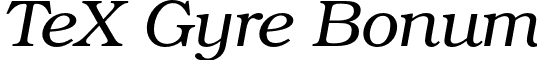 TeX Gyre Bonum font - texgyrebonum-italic.otf