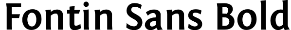 Fontin Sans Bold font - Fontin_Sans_B_45b.otf