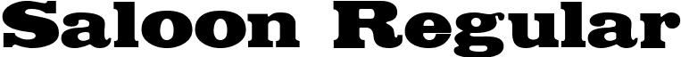 Saloon Regular font - saloon.ttf