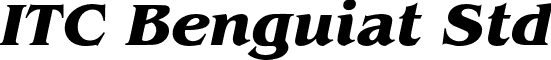 ITC Benguiat Std font - BenguiatStd-BoldItalic.otf