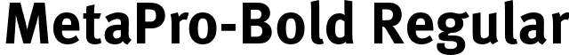 MetaPro-Bold Regular font - MetaPro-Bold.otf