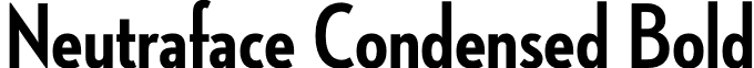 Neutraface Condensed Bold font - NeutrafaceCondensed-Bold.otf