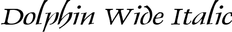 Dolphin Wide Italic font - Dolphin Wide Italic.ttf