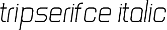 TripSerifCE Italic font - TripSerifCE_LightItalic.ttf