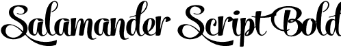 Salamander Script Bold font - SalamanderScriptBold.otf