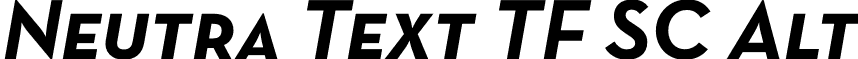 Neutra Text TF SC Alt font - NeutraTextTF-BoldSCItalicAlt.otf