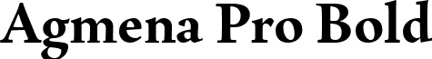 Agmena Pro Bold font - Agmena Pro Bold.ttf