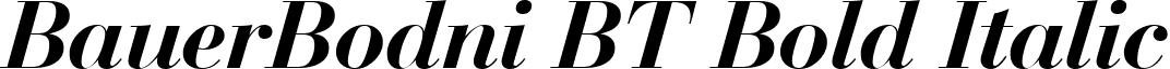 BauerBodni BT Bold Italic font - bauer bodoni bold italic bt.ttf