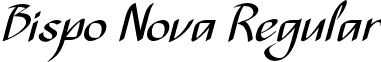 Bispo Nova Regular font - Custom Types - BispoNova-Regular.otf