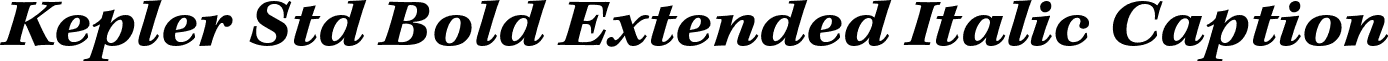 Kepler Std Bold Extended Italic Caption font - KeplerStd-BoldExtItCapt.otf
