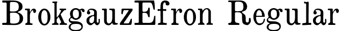 BrokgauzEfron Regular font - BrokgauzEfron.ttf